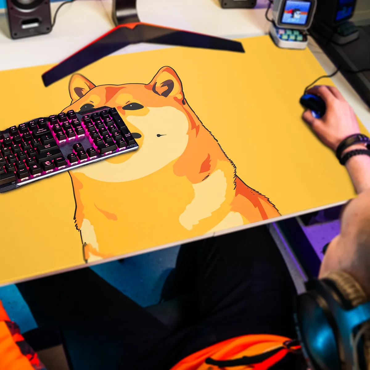 Thumbnail 2